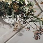 酒店 Vaya 瑙德斯